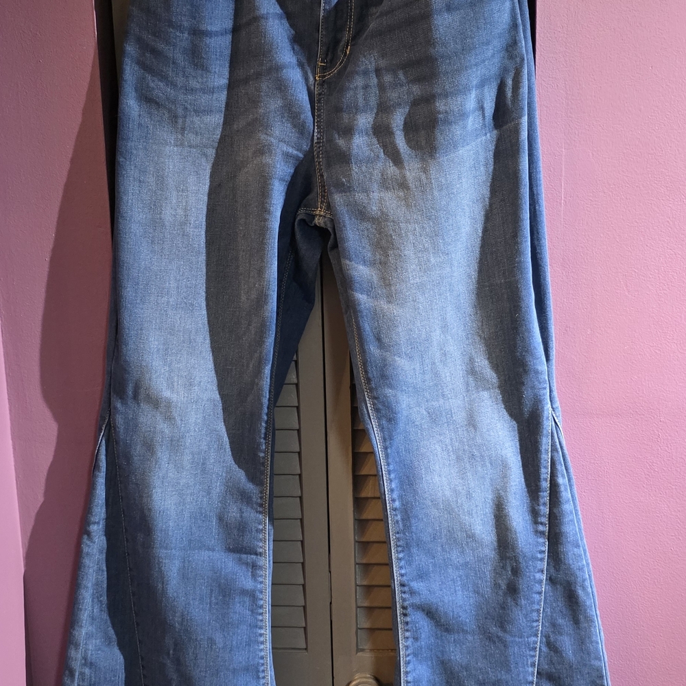 Vintage Indigo Rein Blue Flare Jeans